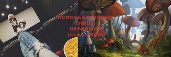 амф Алексин