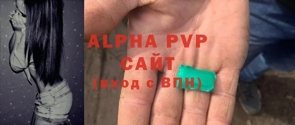 амф Алексин
