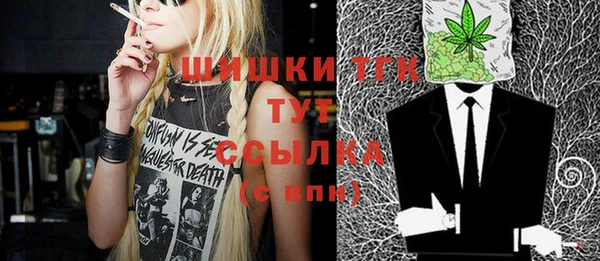 амф Алексин