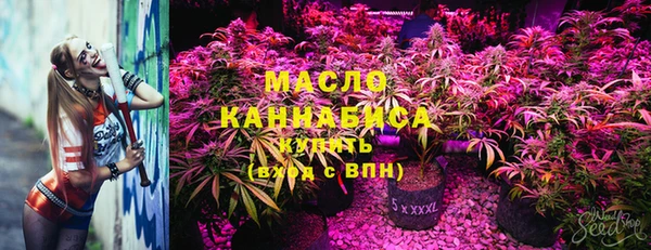 амф Алексин